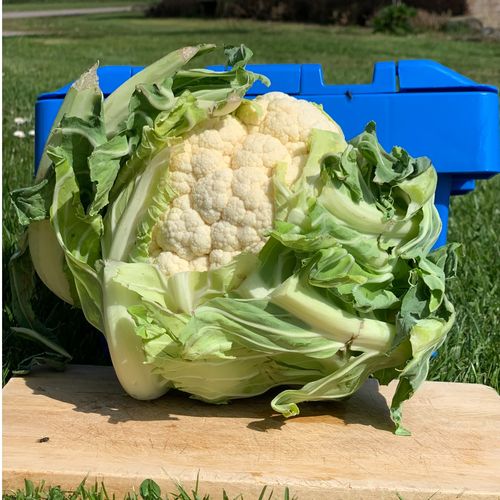 Photo de: Chou-fleur